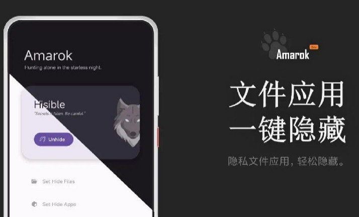 Amarokv0.8.6 – 一键隐藏安卓手机隐私文件和应用 图片